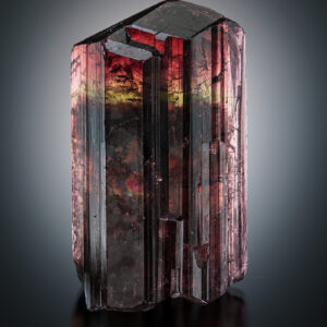 AN004 Liddicoatite