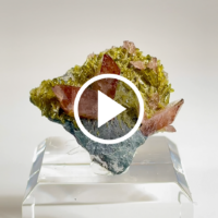 CA059_Video