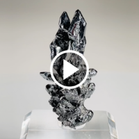 AS008_Video