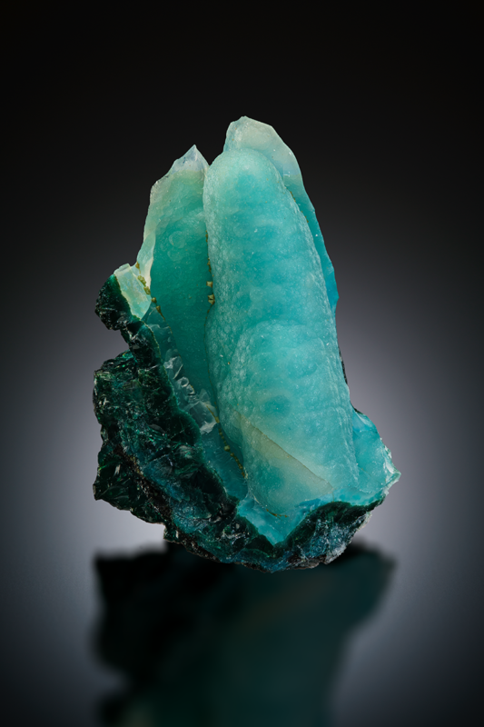 RA024 Quratz on Chrysocolla